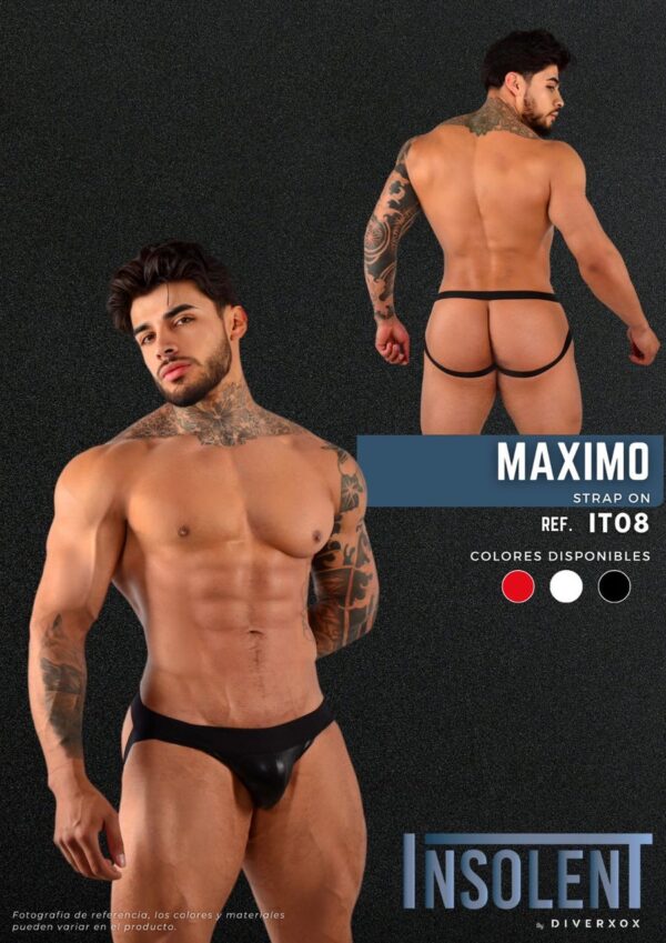 Boxer Maximo